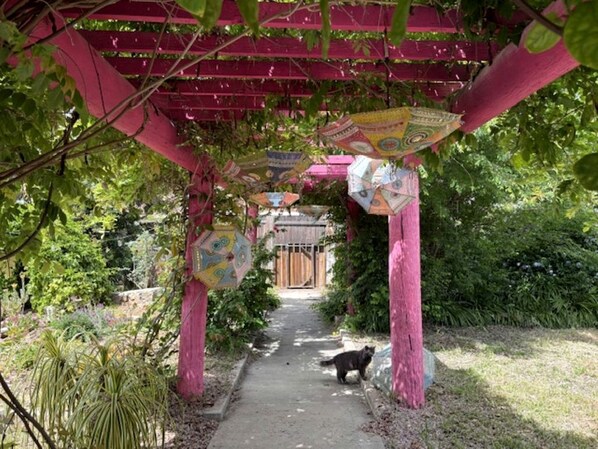 Un chemin de jardin bordé d’une pergola, avec un chat, le tout entouré de verdure.