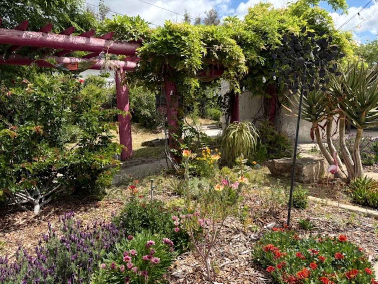 Ein Garten mit verschiedenen Pflanzen und einer Pergola.