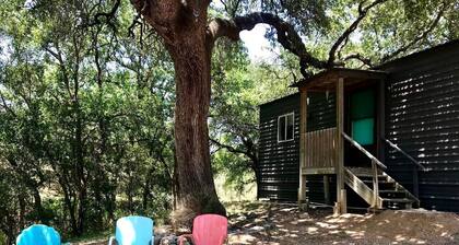 Bright and Cheery Riverside Cabin in Texas Wine Country