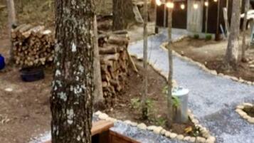 A rustic cabin surrounded by trees, with a gravel path leading to it.