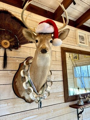 Une tête de cerf fixée à un mur en bois, avec ses bois, un chapeau rouge et un mètre ruban.