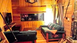 TV, fireplace - Charmingly Rustic Weekend Getaway in the Mountains near Pittsburgh, Pennsylvania (Champion)