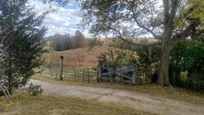 A rural landscape with a dirt path leading to a gated area. - Charming Farmhouse Glamping Cabin in Sparta, Tennessee (Sparta)