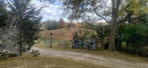 Property grounds - Charming Farmhouse Glamping Cabin in Sparta, Tennessee (Sparta)