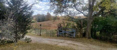 Áreas de la propiedad