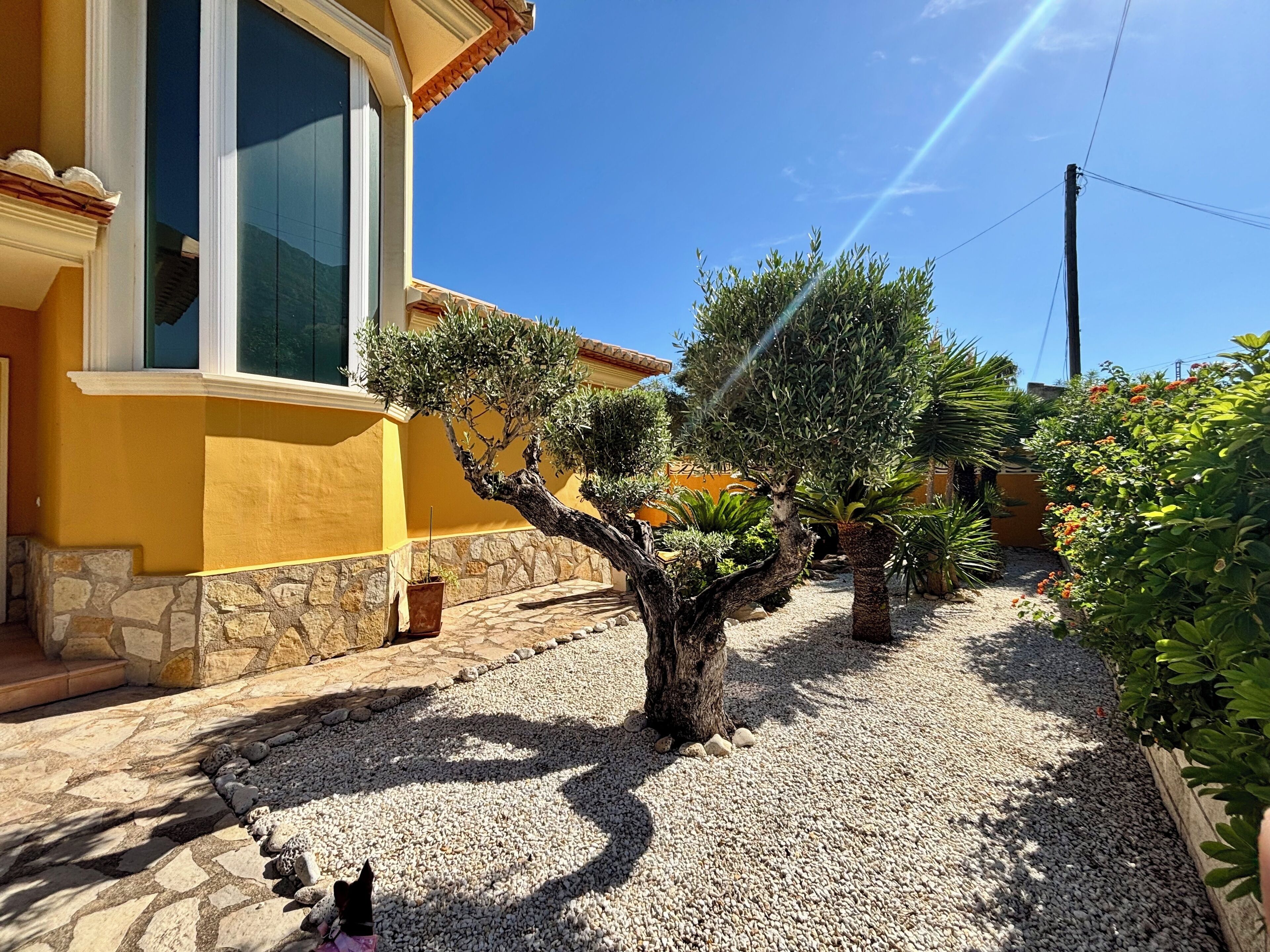 Jardines del alojamiento