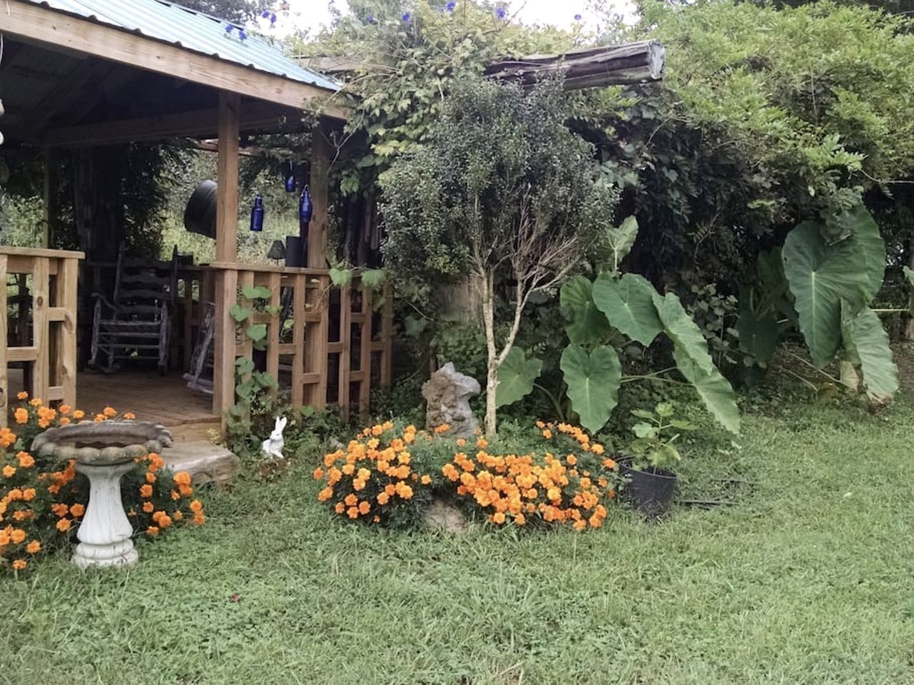 Jardines del alojamiento