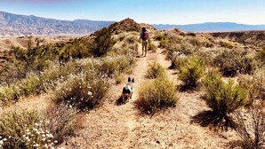 A desert landscape with a person and a dog on a dirt path. - Glamorous California Campsite Retreat with Great Views (New Cuyama)