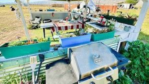 Une terrasse extérieure équipée d’un barbecue, de sièges et de jardinières.
