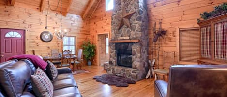 TV, fireplace, DVD player, video library