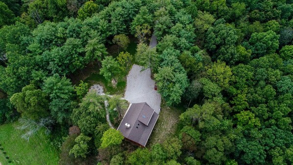 Vista aérea de una casa rodeada de un bosque frondoso.