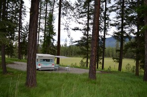 Property grounds - Vintage Camper Rental Perfect for Glamping in Montana (Thompson Falls)
