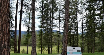 Vintage Camper Rental Perfect for Glamping in Montana