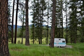 Property grounds - Vintage Camper Rental Perfect for Glamping in Montana (Thompson Falls)