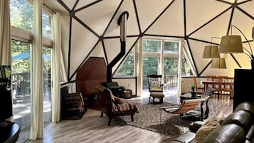 Télévision, cheminée, lecteur de DVD, vidéothÚque