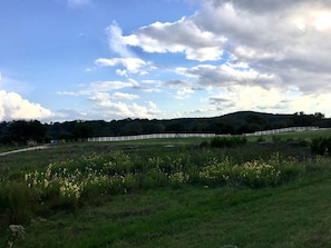 A rural landscape with a white fence, green grass, and yellow flowers. - Tranquil Dripping Springs Vacation Rental Ideal for Texas Getaways (Dripping Springs)