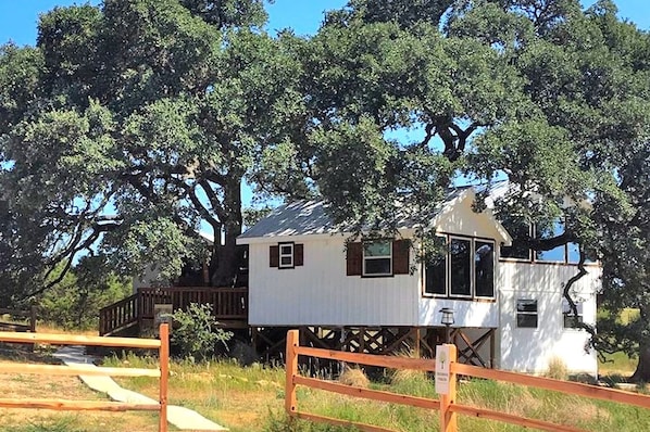 A treehouse cabin with a wooden deck, surrounded by trees.
