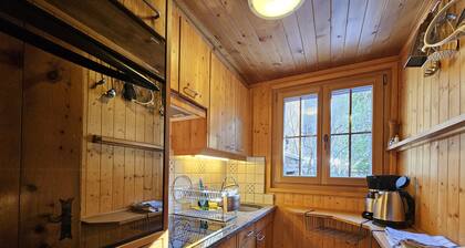 Charming chalet Le Camee right next to the sports field