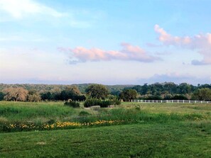 Un paysage rural avec une clôture blanche, des champs verdoyants et des arbres en arrière-plan.