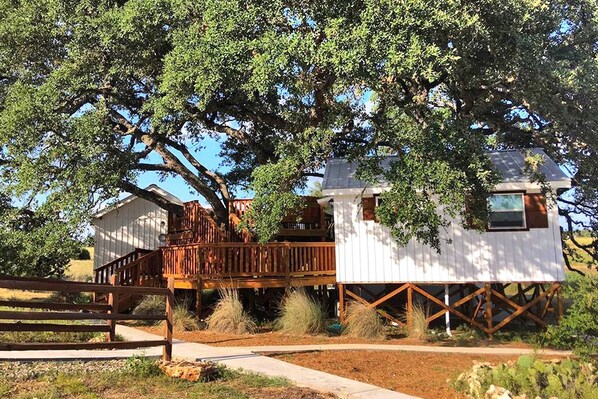 A white house with a wooden deck and a large tree in front.