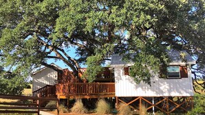 A white house with a wooden deck and a large tree in front. - Peaceful Texas Hill Country Rental Perfect for Glamping Around Austin (Dripping Springs)