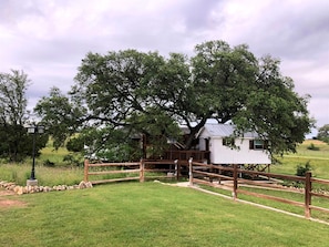 Une construction rustique en bois, surmontée d’un toit en métal, entourée d’une clôture en bois et d’un mur de pierre, située dans un champ herbeux avec des arbres en arrière-plan.