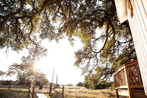 A wooden deck with a railing, surrounded by trees and a grassy field.