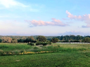 Un paysage rural avec une clôture blanche, des champs verdoyants et des arbres en arrière-plan.