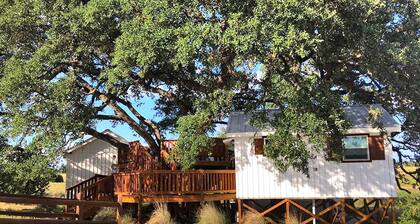 Charming Texas Tree House with Tranquil Views Ideal for Glamping near Austin