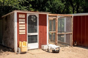 Terrein van de accommodatie