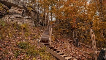 Un escalier en bois menant vers le haut d’une colline rocheuse, entouré d’un paysage automnal.