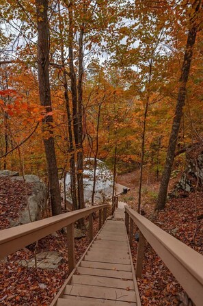 A wooden boardwalk leading through a forest with autumn-colored leaves. - Off-Grid Dome with Private Hot-Tub and Spectacular Sunrise Views in Tennessee (Altamont)
