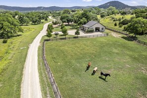 Exterior - Idyllic Cottage Suite Sanctuary near Medina River in Texas (Bandera)