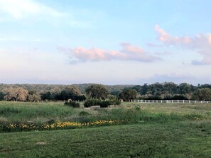 Un paisaje rural con una valla blanca, campos verdes y árboles al fondo.