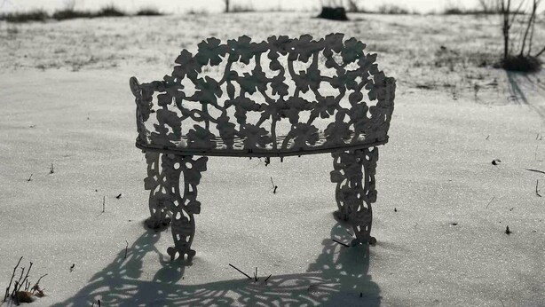 A bench with a leaf-like pattern, positioned on a snow-covered ground with a body of water and trees in the background.