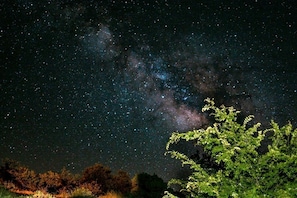 A night sky filled with stars and the Milky Way, with a tree in the foreground. - Charming Warner Springs Accommodation Ideal for a Romantic Getaway in California (Warner Springs)