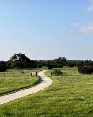 Paisaje rural con un camino de grava que atraviesa un campo cubierto de hierba, rodeado de árboles y cercas.