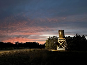 A water tower with a ladder, surrounded by trees and a field.