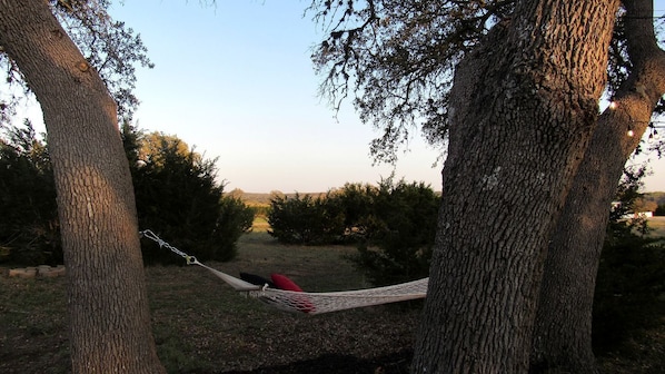 A hammock tied between two trees in a natural setting.