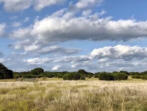 Ländliche Landschaft mit Holzzaun, einer grünen Wiese und Bäumen unter einem teils bewölkten Himmel.