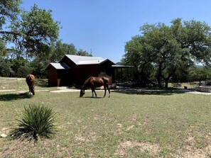 Property grounds