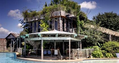 Impressive Tree House near the Guadalupe River in New Braunfels, Texas