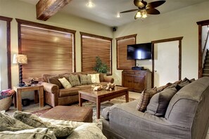 TV, fireplace, DVD player