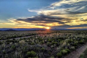 Oklassificerad bild, 5 av 45, knapp