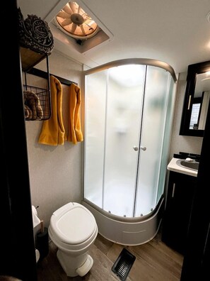 A modern bathroom with a curved shower enclosure, a toilet, and a sink with a mirror.