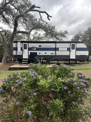 A mobile home with a kitchenette, a small porch, and a garden with purple flowers.