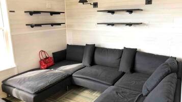 Fireplace, DVD player, video library