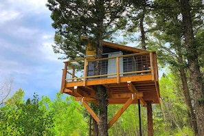 Une cabane perchée dans un arbre, dotée d’une plateforme en bois et d’une rambarde en métal, entourée d’arbres.