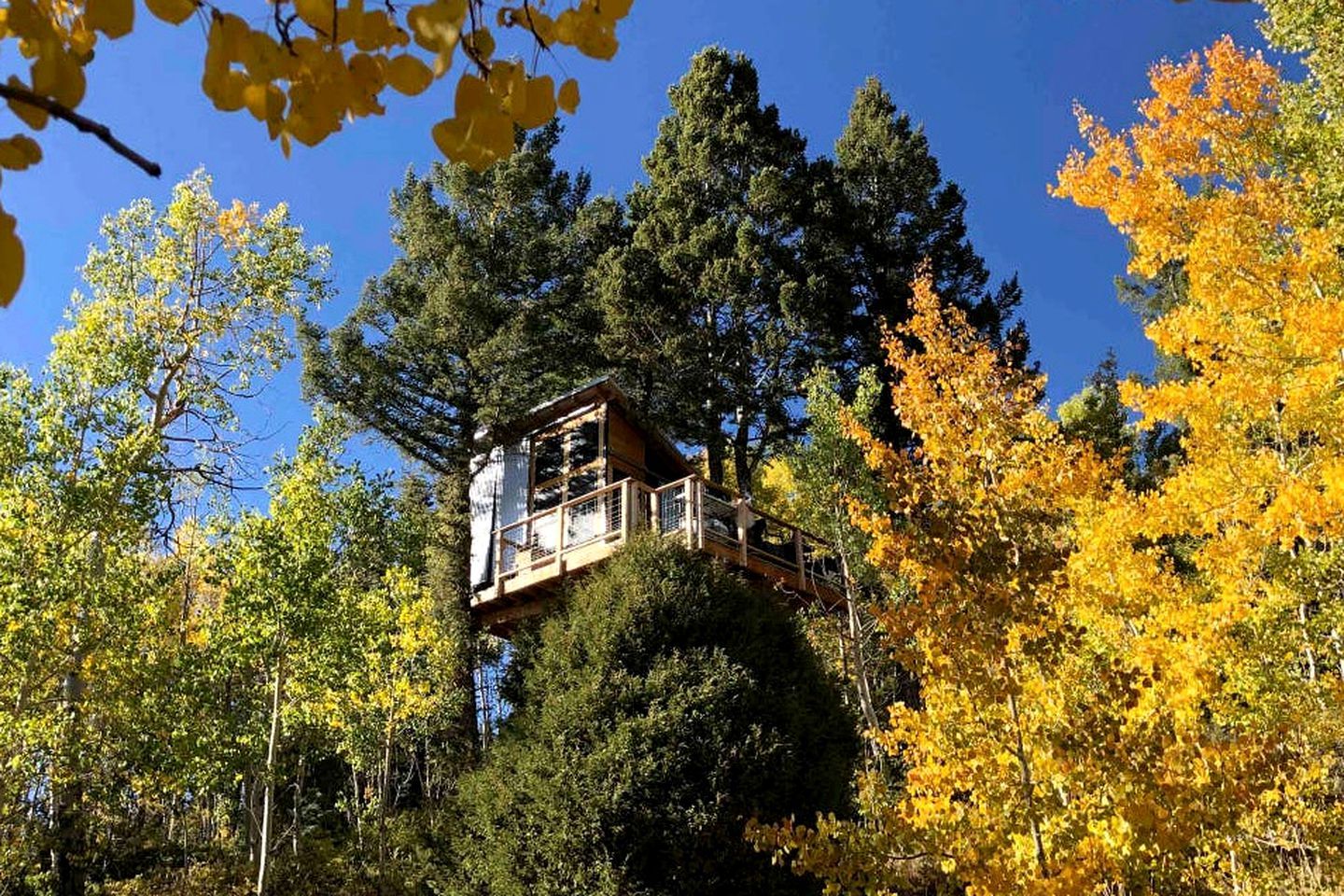 A treehouse with a wooden deck and a glass enclosure, surrounded by autumn foliage.