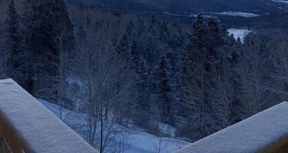Off-Grid yet Modern Tree House in the Sangre de Cristo Mountains, Colorado